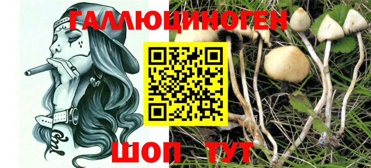 Псилоцибиновые грибы Magic Shrooms  Вход с VPN  Кохма  Галлюциногенные грибы Cubensis 