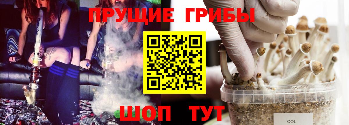 Галлюциногенные грибы мицелий Кохма
